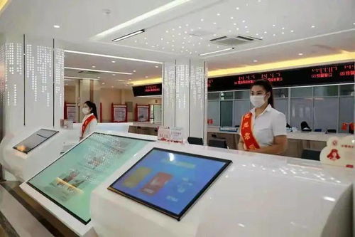 以科技中介服務為引擎，助推呼和浩特強首府工程建設