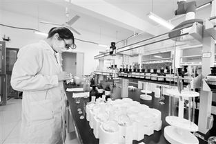 北湖科技園 長春的“中關村”與科技中介服務新引擎